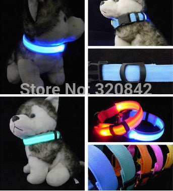 LED Nylon Pet Dog Collar Night Safety LED Light-up Flashing Glow In The Dark Electric LED Pets Cat & Dog Collar Free Shipping