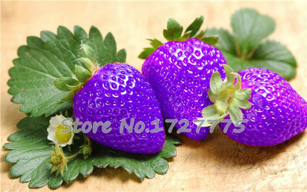 200 Hanging Strawberry Seeds --- Real & Fresh Seeds, Sweet & Juicy, DIY Home Garden, Free Shipping