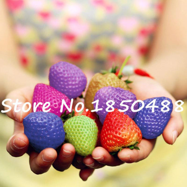 200 Hanging Strawberry Seeds --- Real & Fresh Seeds, Sweet & Juicy, DIY Home Garden, Free Shipping